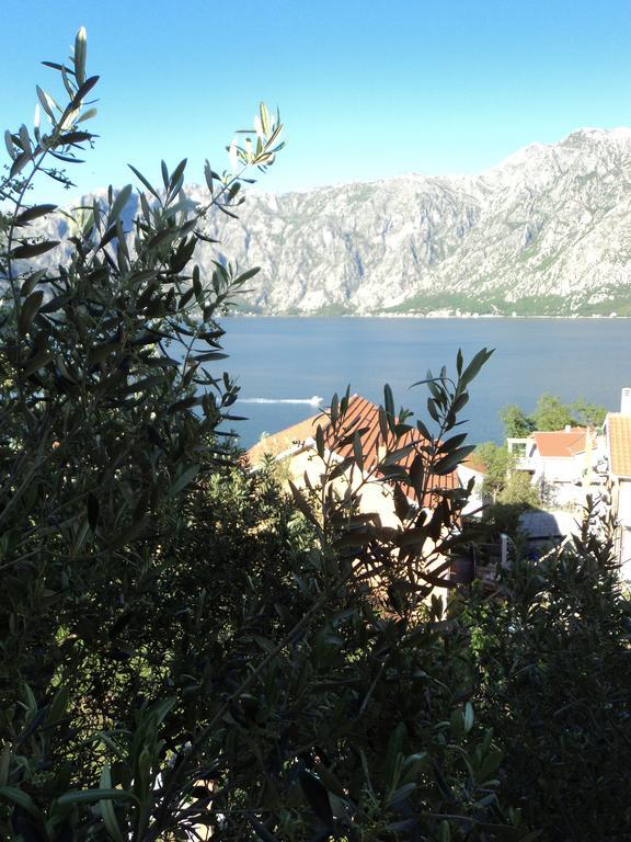 Guest House Pajovic Kotor Exterior foto